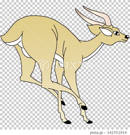 Hand-drawn animal illustration ☆ Antelope 142351914