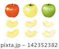 3色のりんご（丸ごととカット）水彩風イラスト 142352382