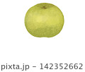 まるごと和梨（青梨）の水彩風イラスト 142352662