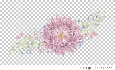 Pink chrysanthemum, eucalyptus branches and wildflowers watercolor composition on isolated background. Floral arrangement for elegant wedding stationery, spring greeting card, and delicate home decor. Pink chrysanthemum, eucalyptus branches and wildflowers watercolor composition on isolated background. Floral arrangement for elegant wedding stationery, spring greeting card, and delicate home decor. 142352727