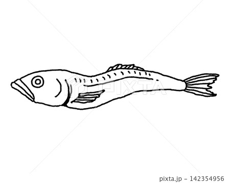 煮干し 線画 煮干し 線画 142354956