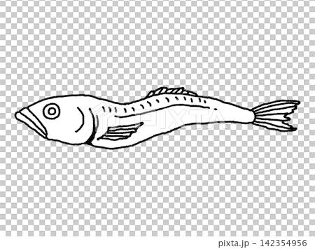 乾沙丁魚(線描圖) 乾沙丁魚(線描圖) 142354956