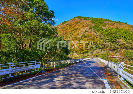 紅葉の神奈川県山北町の河内川に架かる中川橋を県道76号方面に見る 紅葉の神奈川県山北町の河内川に架かる中川橋を県道76号方面に見る 142355100