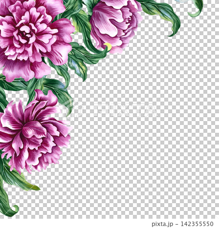 A corner frame featuring the image of pink peony flowers. A hand drawn watercolor illustration. Ideal for greeting cards, invitations, and weddings, labels and packaging, textiles, and much more. 142355550