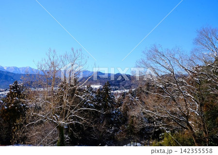 【神奈川県】冠雪の樹木と北丹沢の山々 142355558