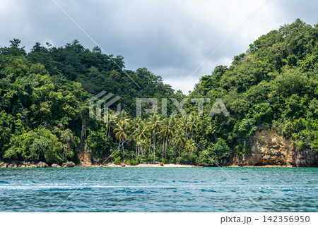 Paradise beach with palm trees, Togian Islands, Sulawesi, Indonesia Paradise beach with palm trees, Togian Islands, Sulawesi, Indonesia 142356950