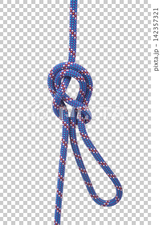 A double figure-eight loop knot is tied in a purple and blue rope. A double figure-eight loop knot is tied in a purple and blue rope. 142357321