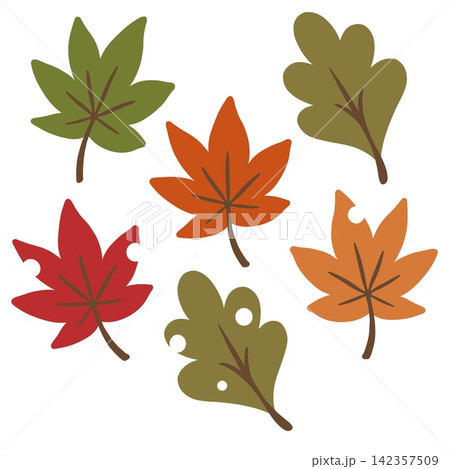 かわいい秋のもみじ・紅葉イラストセット かわいい秋のもみじ・紅葉イラストセット 142357509