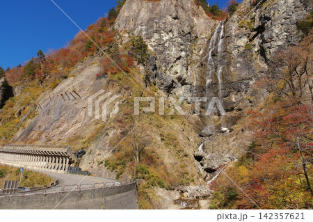 秋の白山白川郷ホワイトロード ふくべの大滝 秋の白山白川郷ホワイトロード ふくべの大滝 142357621