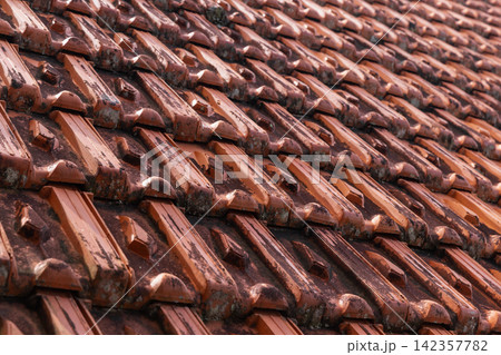 Close-up view of weathered terracotta roof tiles with moss and dirt 142357782
