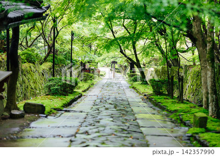 【滋賀県東近江市】金剛輪寺　新緑の参道 142357990