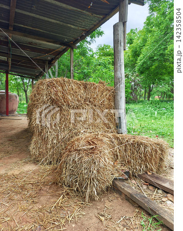 Bales of dry straw stacked under a rustic corrugated metal shed roof in a lush rural farm setting. Bales of dry straw stacked under a rustic corrugated metal shed roof in a lush rural farm setting. 142358504