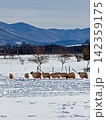 frozen lake in winter mountains 142359175