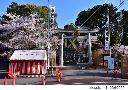日本の愛知県の犬山市 満開の桜と針綱神社の鳥居 犬山祭当日の朝の様子 日本の愛知県の犬山市 満開の桜と針綱神社の鳥居 犬山祭当日の朝の様子 142360065