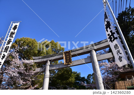 日本の愛知県の犬山市　満開の桜と美しい青空と針綱神社の鳥居　犬山祭当日の朝の様子 142360280