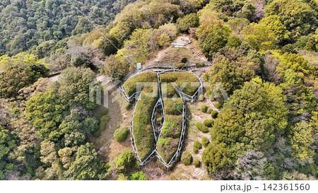 神戸市街地 市章山とイカリ山 快晴の上空より望む 神戸市街地 市章山とイカリ山 快晴の上空より望む 142361560