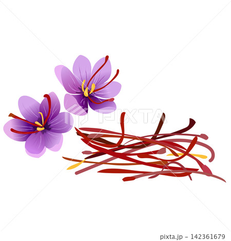 サフランの花とめしべのスパイス サフランの花とめしべのスパイス 142361679