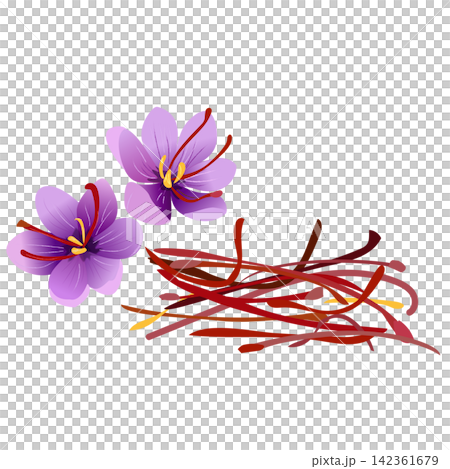 サフランの花とめしべのスパイス サフランの花とめしべのスパイス 142361679