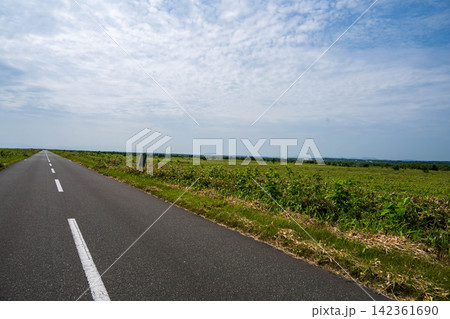 エサヌカ線の真っ直ぐな道 エサヌカ線の真っ直ぐな道 142361690