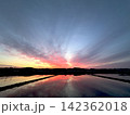 水田に映る朝焼けと田園風景 142362018