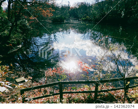 秋の木々と青空が池に映り込む日本庭園の風景 秋の木々と青空が池に映り込む日本庭園の風景 142362074