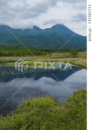 日本 北海道斜里町の知床五湖高架木道から望む新緑に囲まれた第一湖と知床連山 日本 北海道斜里町の知床五湖高架木道から望む新緑に囲まれた第一湖と知床連山 142362151