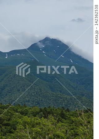 日本　北海道斜里町の知床五湖高架木道から望む雲がかかった初夏の知床連山 142362538