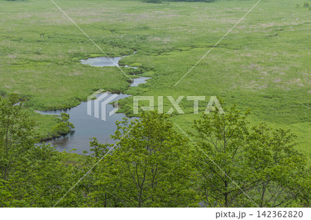日本 北海道釧路湿原国立公園のコッタロ湿原展望台から望む釧路湿原の夏の風景 日本 北海道釧路湿原国立公園のコッタロ湿原展望台から望む釧路湿原の夏の風景 142362820