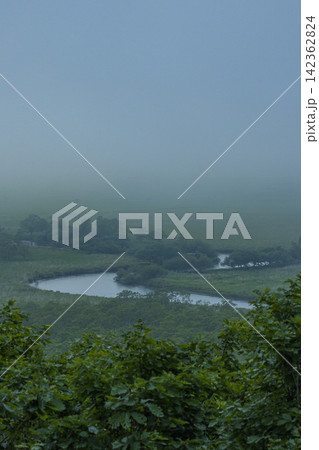 日本 北海道の釧路湿原国立公園、コッタロ湿原展望台から望む霧に包まれた釧路湿原 日本 北海道の釧路湿原国立公園、コッタロ湿原展望台から望む霧に包まれた釧路湿原 142362824