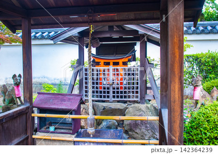 相国寺宗旦稲荷 宗旦狐のご利益:開運,家内安全,商売繁盛,芸事上達 相国寺宗旦稲荷 宗旦狐のご利益:開運,家内安全,商売繁盛,芸事上達 142364239