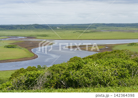 北海道浜中町 新緑に包まれた霧多布湿原の雄大な自然風景 142364398