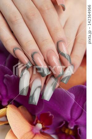 Woman's hand showing modern gray french manicure design Woman's hand showing modern gray french manicure design 142364966
