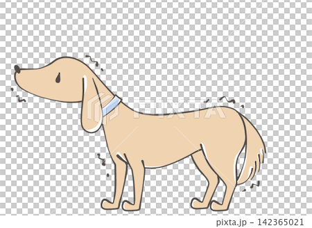 震える犬 震える犬 142365021