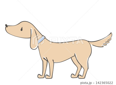 横から見た犬 横から見た犬 142365022