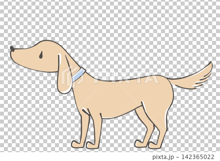 横から見た犬 横から見た犬 142365022