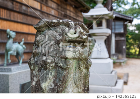 神社の門番‐狛犬 142365125