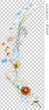 Watercolor bouquet with blue, ivory and orange wildflowers, rustic isolated illustration for stationery Watercolor bouquet with blue, ivory and orange wildflowers, rustic isolated illustration for stationery 142365253