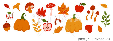 Autumn cozy botanical elements set isolated on white. Fall season forest icons collection including pumpkin, foliage, apple, mushroom, berries, acorn 142365983