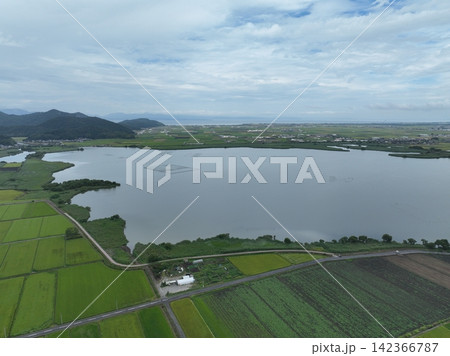 滋賀県 西の湖付近の田んぼの風景 ドローン空撮 滋賀県 西の湖付近の田んぼの風景 ドローン空撮 142366787