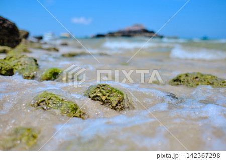 green algae cover small rocks that put on the sandy beach of the small island with blurred background blue sky green algae cover small rocks that put on the sandy beach of the small island with blurred background blue sky 142367298