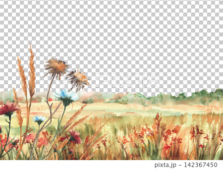 Autumn field with red, orange wildflowers, green yellow grasses and seasonal colorful forest trees silhouettes Hand drawn watercolor landscape with nature fall meadow. Isolated from background. Autumn field with red, orange wildflowers, green yellow grasses and seasonal colorful forest trees silhouettes Hand drawn watercolor landscape with nature fall meadow. Isolated from background. 142367450