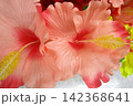 カラフルな造花の花束 142368641