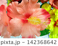 カラフルな造花の花束 142368642