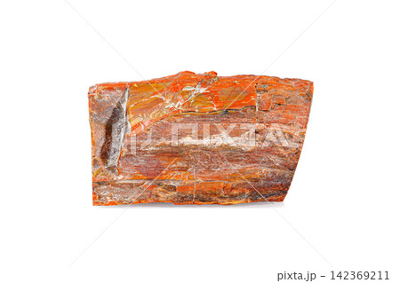 macro stone mineral petrified wood on a white background macro stone mineral petrified wood on a white background 142369211