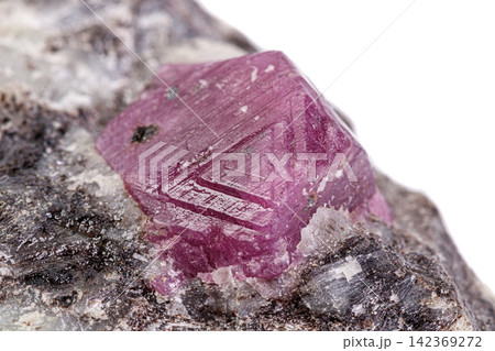 macro mineral stone ruby on a white background macro mineral stone ruby on a white background 142369272