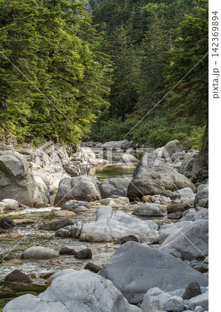 黒部川源流 薬師沢小屋付近 黒部川源流 薬師沢小屋付近 142369894