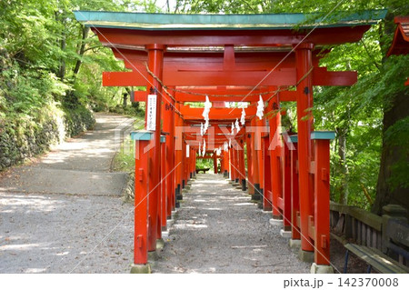 鼻顔稲荷神社　鳥居 142370008