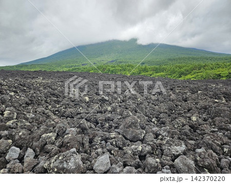 岩手県 岩手山の焼き走り熔岩流 岩手県 岩手山の焼き走り熔岩流 142370220
