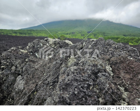 岩手県 岩手山の焼き走り熔岩流 岩手県 岩手山の焼き走り熔岩流 142370223
