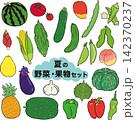 手描き風　夏の野菜・果物素材セット 142370237